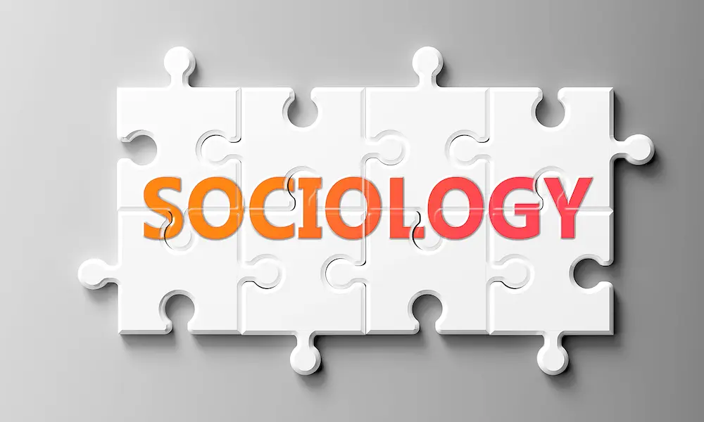 EducationHow is Sociology Important in Business?	